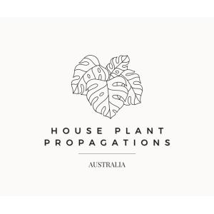 House Plant Propagations